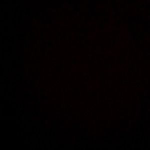 Meet your Posher, Sammy